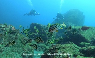 uroune241227-u02.jpg