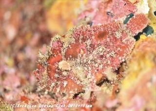 uruma191001-01.jpg
