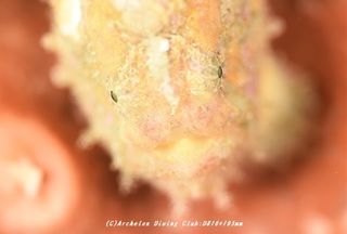 uruma201019.jpg