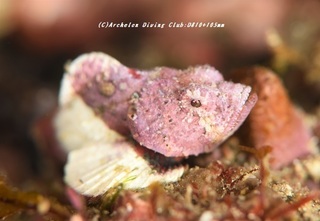 uruma210111-ya.jpg
