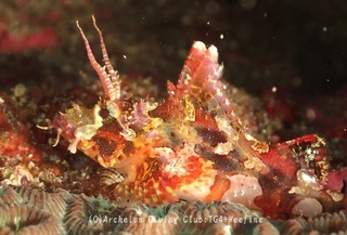uruma231117-ss.jpg