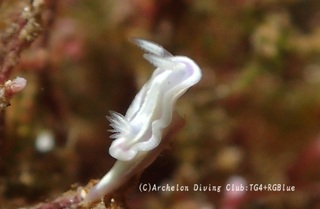 usufuji241224-y.jpg