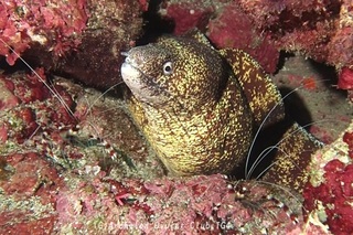 utsubo240902-s.jpg
