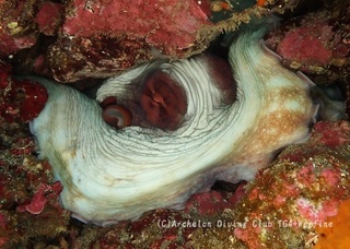 wamon240126-y.jpg