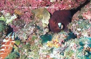 wamon241030-y.jpg