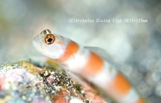 yano231012-n.jpg