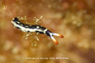 yozora230802-s.jpg