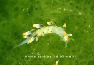 yuugure240619-s.jpg