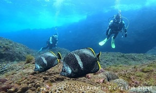 yuzen250412-n.jpg