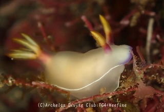 zouge231129-y.jpg