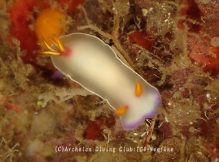 zouge240127-y.jpg