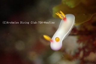 zouge240128-y.jpg