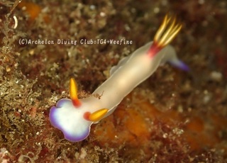 zouge240402-y.jpg