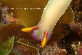 zouge240425-y.jpg