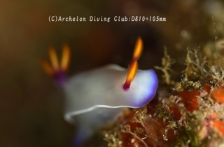 zouge240510-nG.jpg