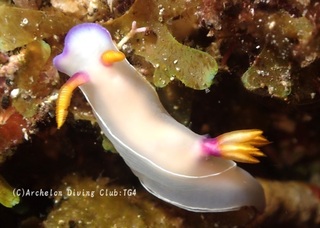 zouge240925-y.jpg